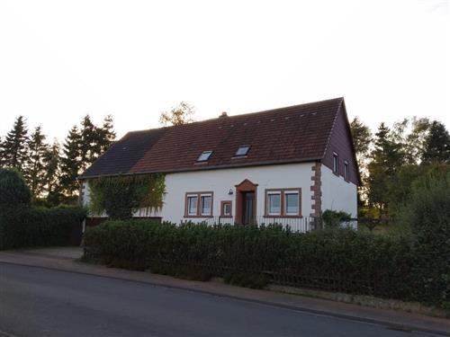Sommerhus - 4 personer -  - Hillesheimer Str. - 54570 - Kalenborn-Scheuern