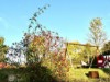 Bild 19