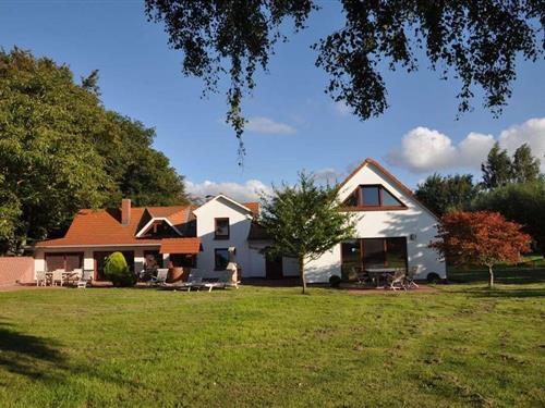 Feriehus - 12 personer -  - 18311 - Ribnitz-Damgarten-Langend