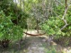 Bild 17