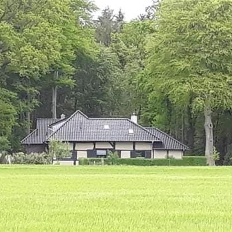 Sommerhus - 12 personer -  - Gut-Einhaus-Straße - 49757 - Werlte