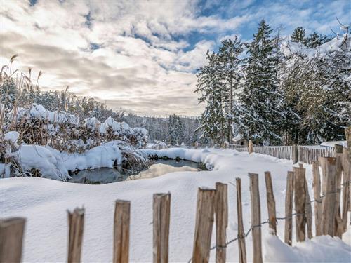 Ferielejlighed - 3 personer -  - Breitenberg - 94139