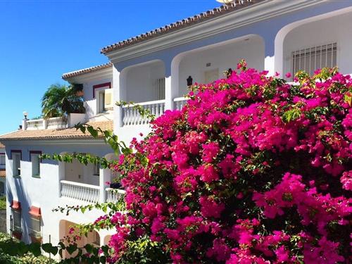 Sommerhus - 4 personer -  - 29793 - Torrox