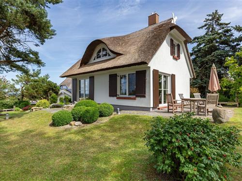 Ferielejlighed - 2 personer -  - Hans-Kinder-Weg - 18347 - Ostseebad Ahrenshoop