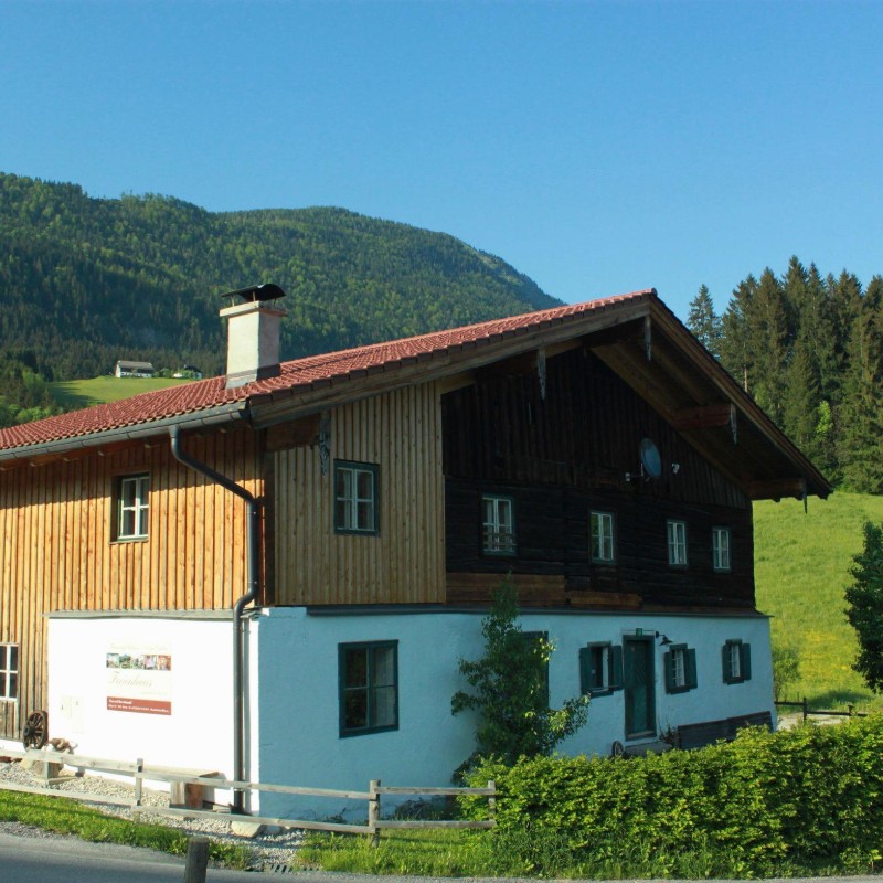 Bondegård - 10 personer -  - Rigaus - 5441 - Abtenau
