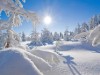 Billede 35