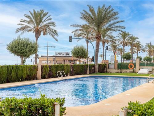 Ferieleilighet - 7 personer -  - 03560 - El Campello