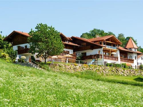 Ferienhaus - 4 Personen -  - Blachendorf - 94256 - Drachselsried