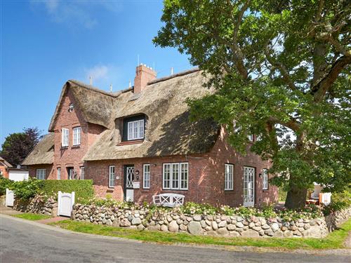 Feriehus - 6 personer -  - Noorder Jaat - 25938 - Utersum