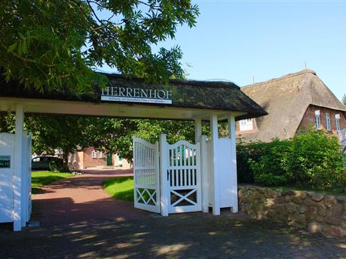 Ferieleilighet - 4 personer -  - Ohl Dörp - 25938 - Wrixum Auf Föhr