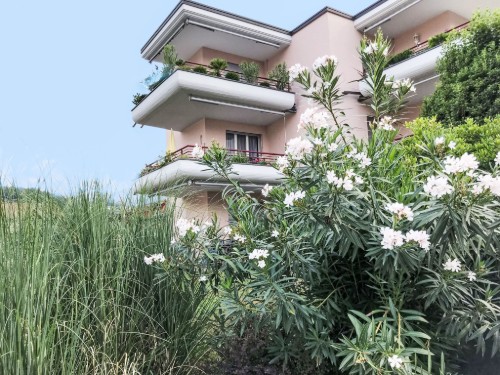 Holiday apartment - 4 persons -  - Caslano - 6987