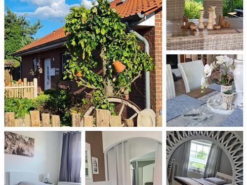 Ferienhaus - 8 Personen -  - Brenzelfeld - 29369 - Ummern