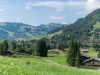 Bild 3 - Ude