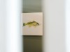 Bild 16