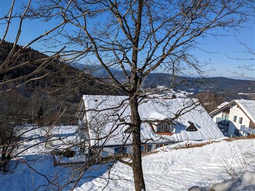 Ferieleilighet - 2 personer -  - Hochwaldstraße - 94572 - Schöfweg