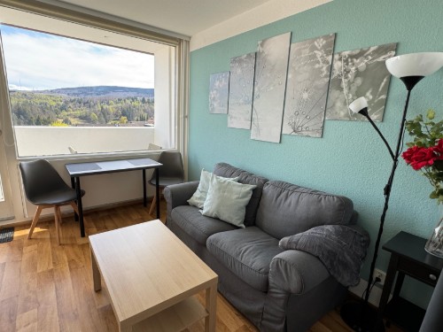 Holiday apartment - 2 persons -  - Auf dem Glockenberg - 38707 - Altenau