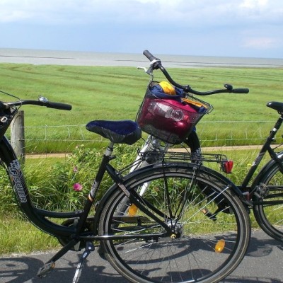 Billede 3