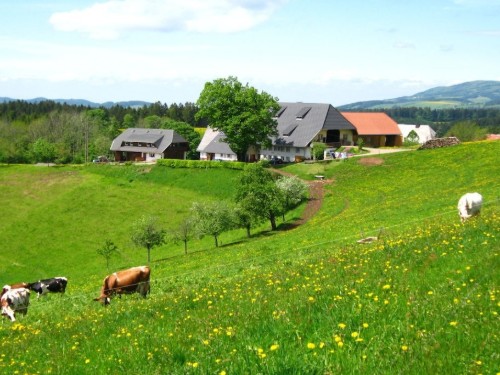Ferienhaus - 4 Personen -  - 79274 - St.Märgen