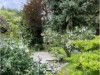 Bild 13