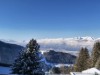 Bild 50
