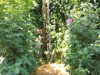 Image 31 - Outside