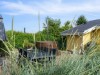 Billede 19 - Terrasse