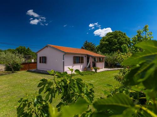 Holiday home - 5 persons -  - Mate Balote - 0 - Rakalj