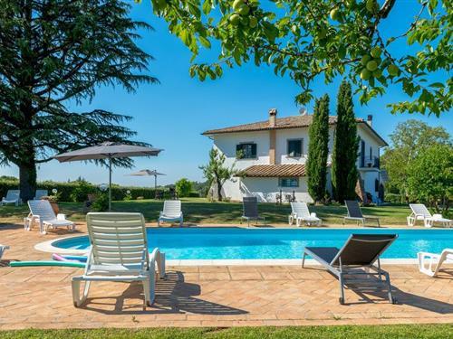 Sommerhus - 18 personer -  - Sp - 01022 - Bagnoregio