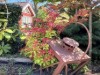 Bild 18