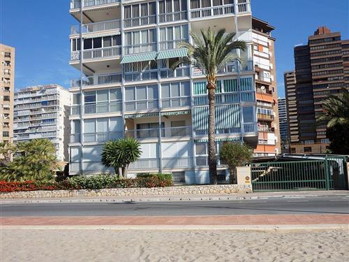 Sommerhus - 4 personer -  - calle alfaz del pi - 03502 - Benidorm