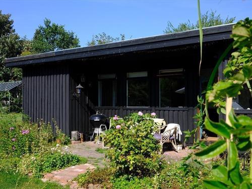 Sommerhus - 6 personer -  - Nøddevej - 3210 - Vejby