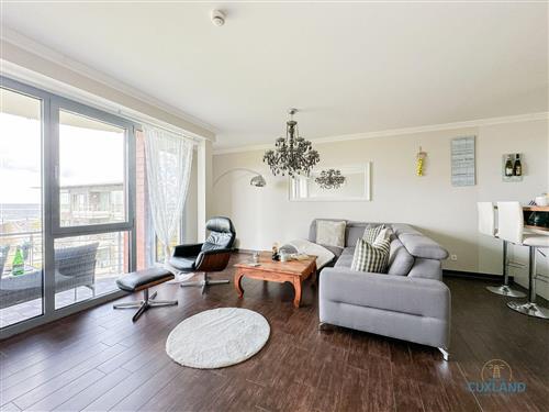 Ferieleilighet - 4 personer -  - Bei der Alten Liebe - 27272 - Cuxhaven