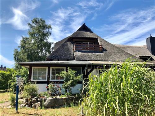 Holiday apartment - 4 persons -  - Herrmann- Löns- Str. - 18347 - Wustrow