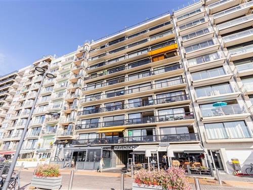 Ferielejlighed - 4 personer -  - 8370 - Blankenberge