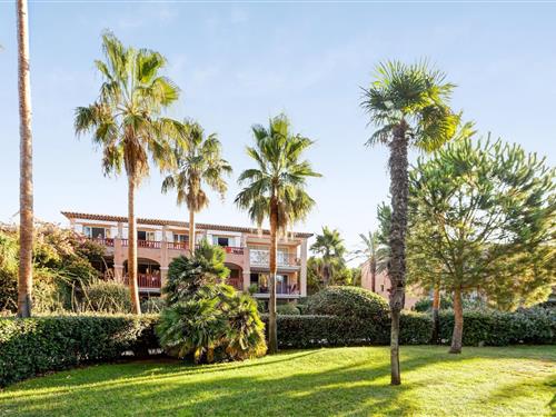 Ferienhaus - 4 Personen -  - 83400 - Hyères