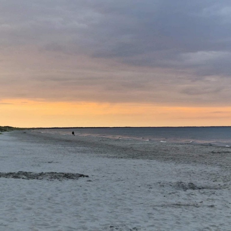 Sommerhus - 22 personer -  - Aaensvej - Bratten - 9981 - Jerup