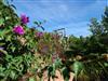 Bild 48 - Aussen
