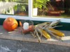 Bild 18