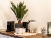 Bilde 37