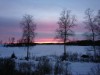 Bild 44
