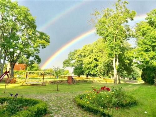 Sommerhus - 4 personer -  - 17194 - Grabowhöfe