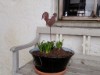 Bilde 6