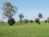 Bilde 36