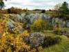 Bild 35