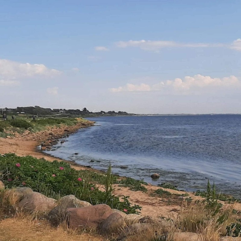 Sommerhus - 2 personer -  - V. Strandgade 29, - Ringkøbing - 6950 - Ringkøbing Fjord