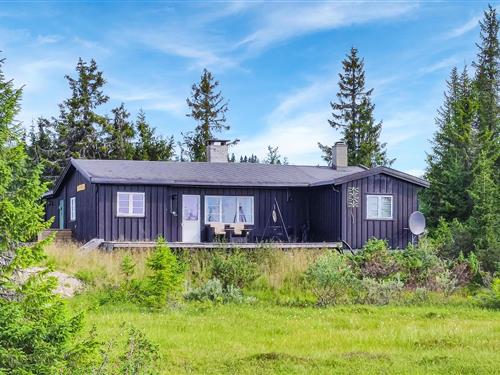 Feriehus - 8 personer -  - Aksjøen - 2612 - Sjusjøen