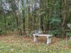 Bild 31