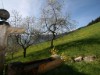 Bilde 4 - Ude
