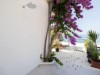 Billede 19