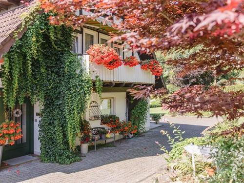 Feriehus - 4 personer -  - 59889 - Eslohe